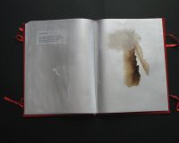 José Oliveira, De Mysteriis, 2010 (17/42)