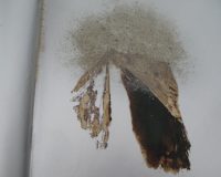 José Oliveira, De Mysteriis, 2010 (27/42)