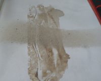 José Oliveira, De Mysteriis, 2010 (32/42)