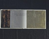 José Oliveira, Diário nº 2, 2006 (11/18)