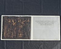 José Oliveira, Diário nº 2, 2006 (14/18)