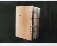 José Oliveira, Holder (homenagem a Holderlin), 2001 (2/3)