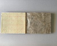 José Oliveira, Holoceno, 2020 (2/20)
