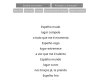 Rui Torres, brin cadeiras, 2020 (14/14)