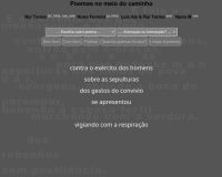 Rui Torres, Poemas no meio do caminho, 2020 (15/16)