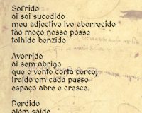 Rui Torres, Cantiga, 2020 (4/9)
