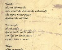 Rui Torres, Cantiga, 2020 (5/9)