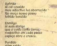 Rui Torres, Cantiga, 2020 (6/9)