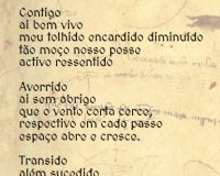 Rui Torres, Cantiga, 2020 (8/9)