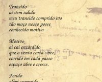 Rui Torres, Cantiga, 2020 (9/9)
