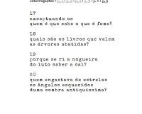 Rui Torres, Bruno Ministro e Diogo Marques a partir de obra de Abílio-José Santos, 2019 (9/12)