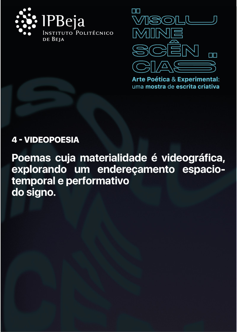 Videopoesia